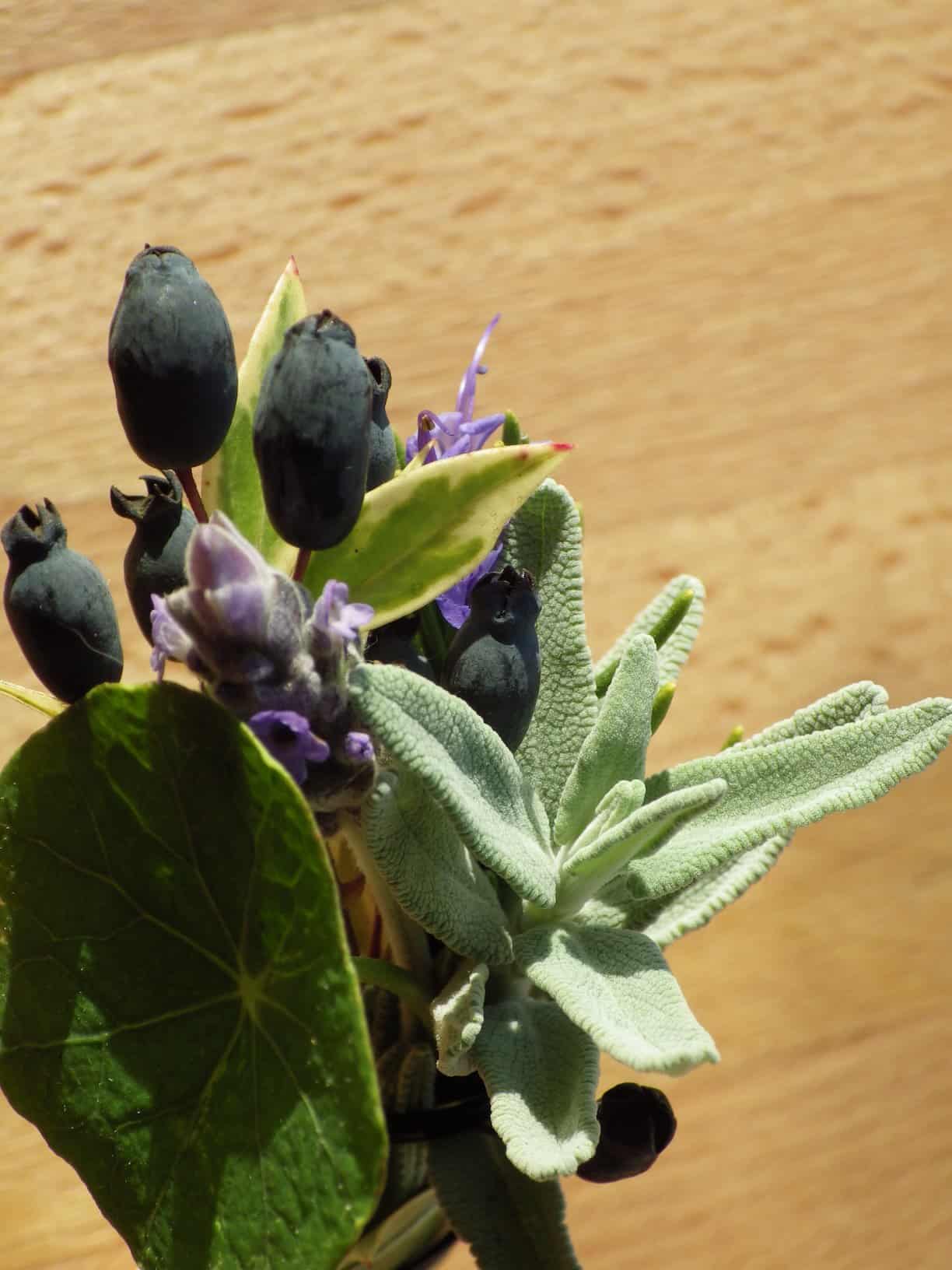 Herb Bouquet