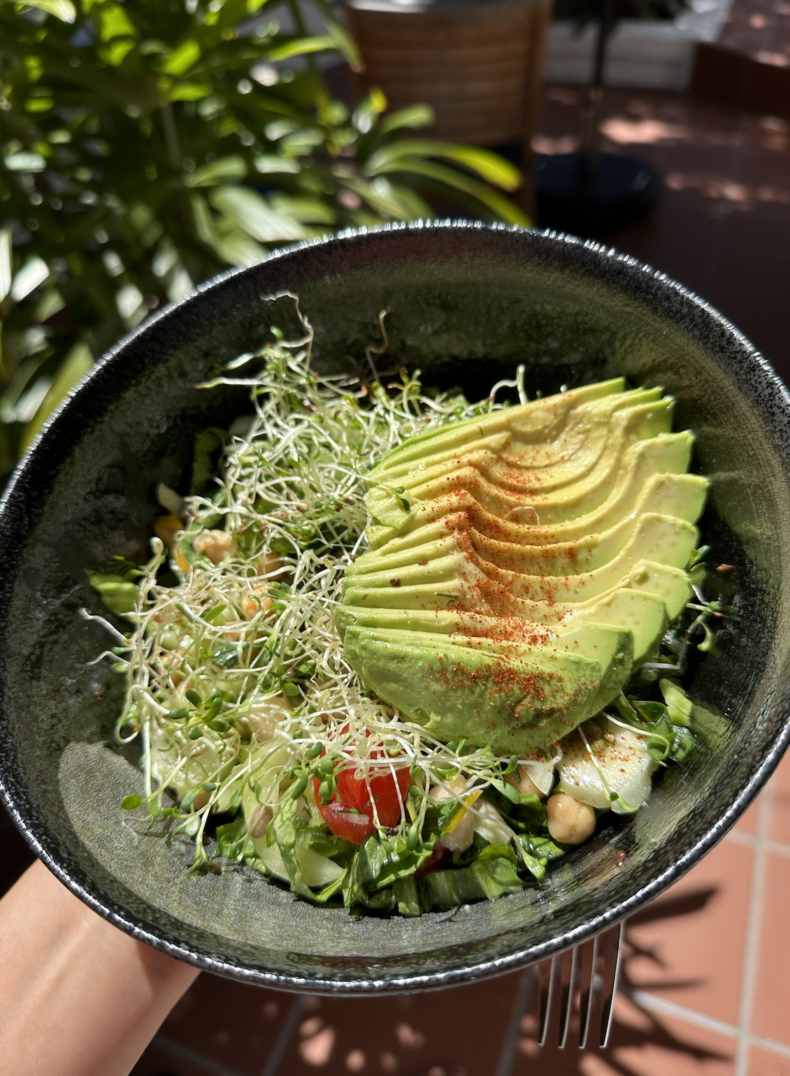 Avocado Bowl