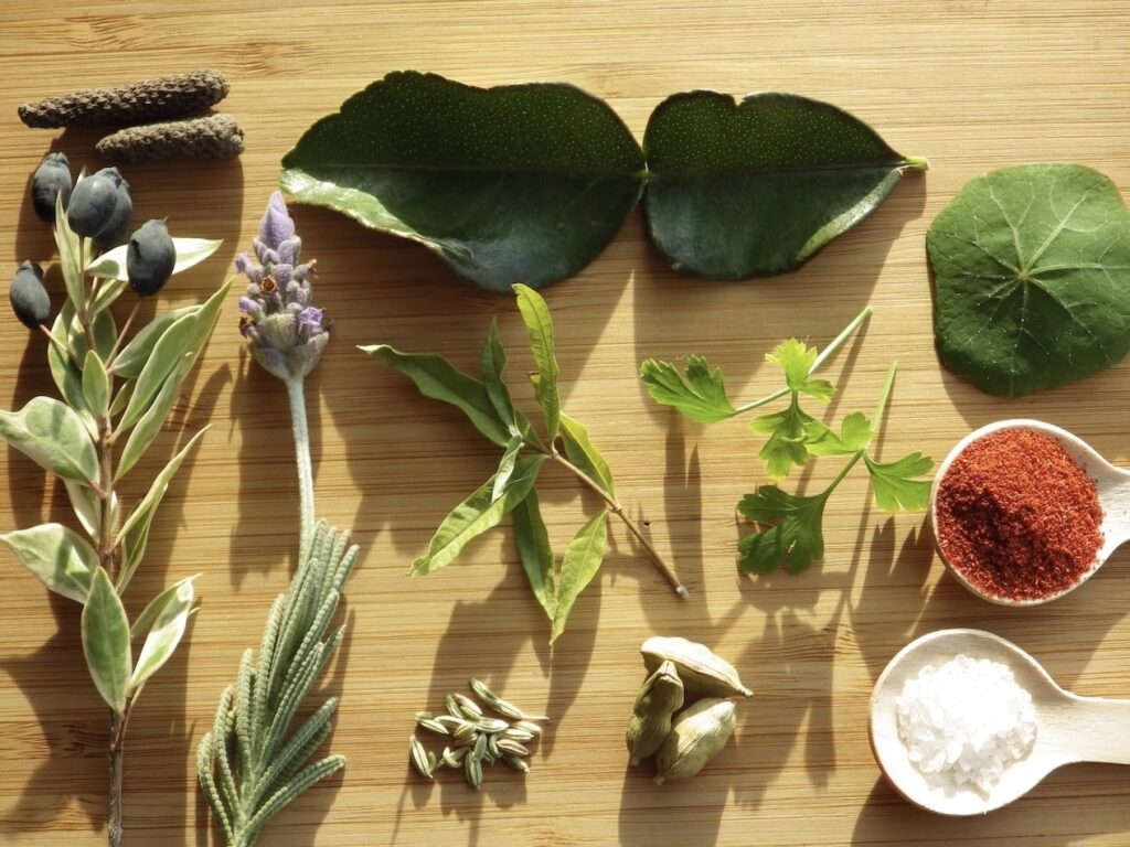 Spice and Herb Assortment