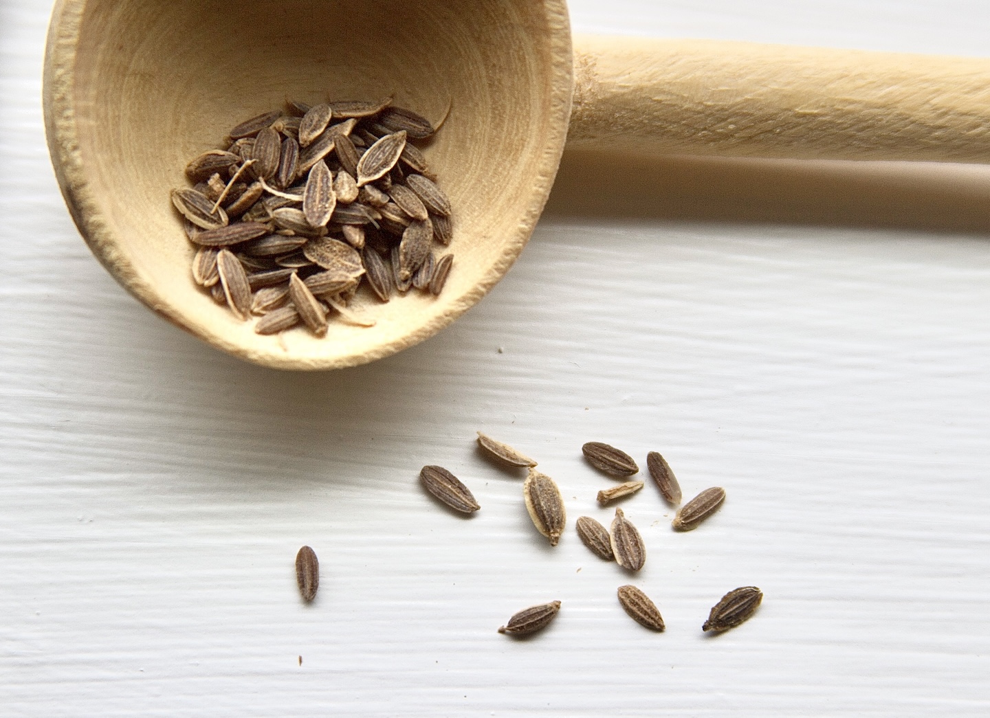 Dill seed in light spoon