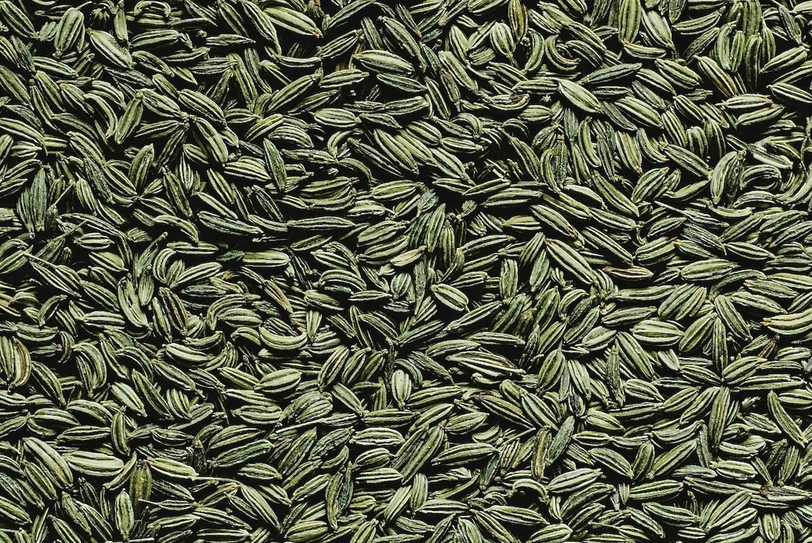 Fennel seed backdrop