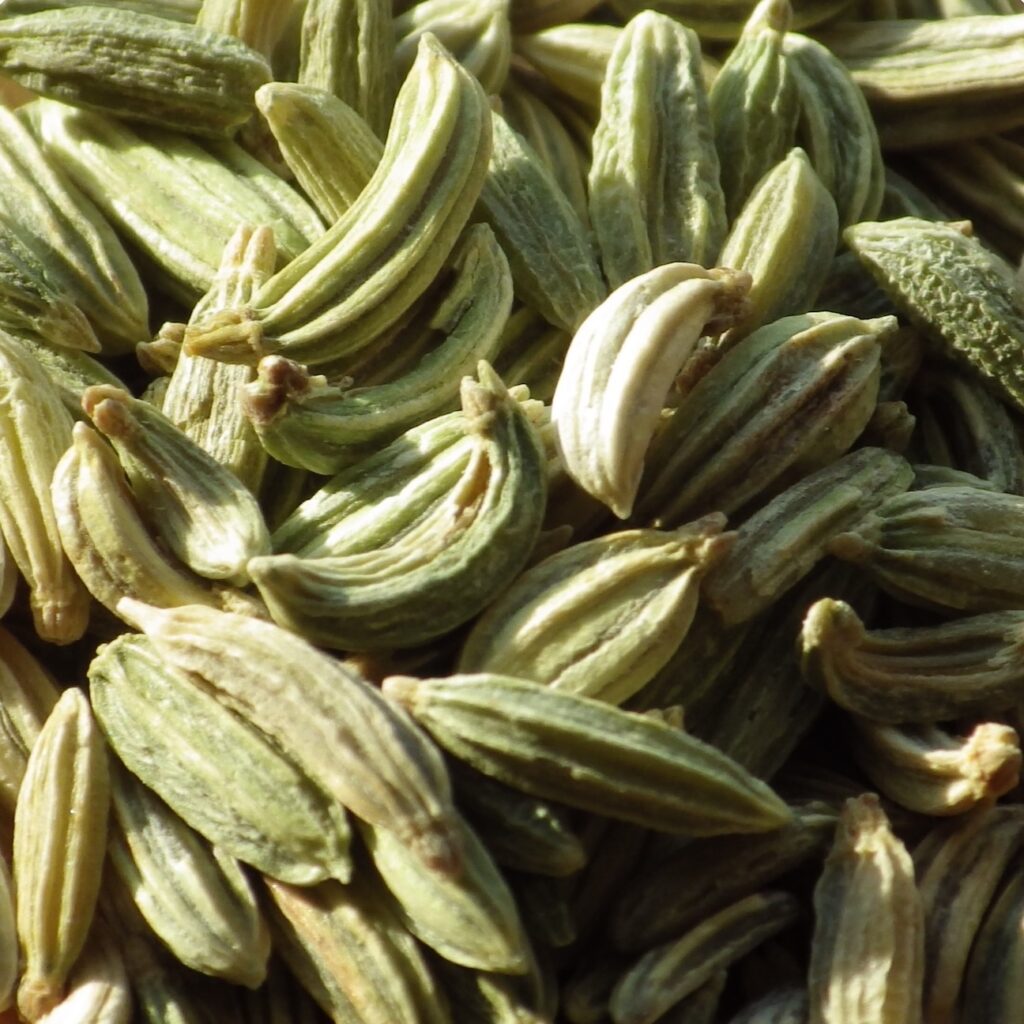 Fennel seed close-up