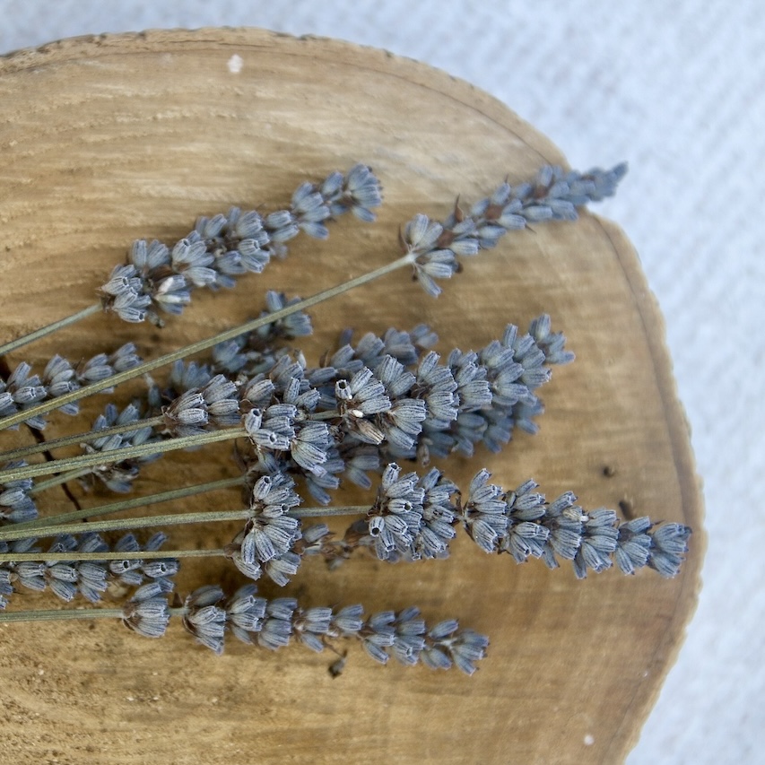 Lavender sprigs