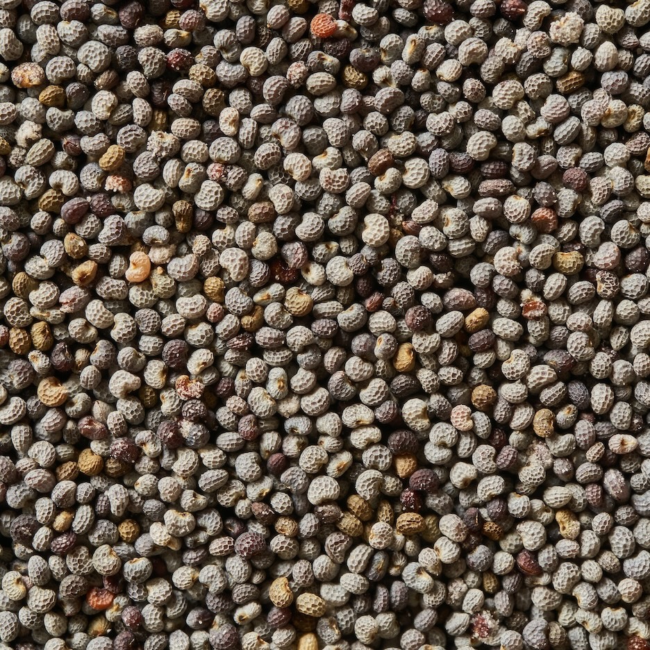 Poppy seed profile