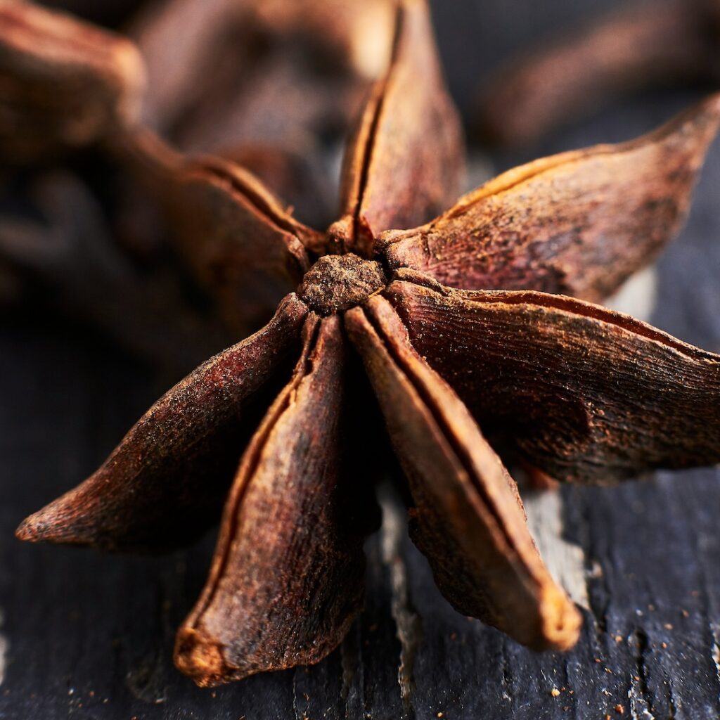 Star anise pod close-up