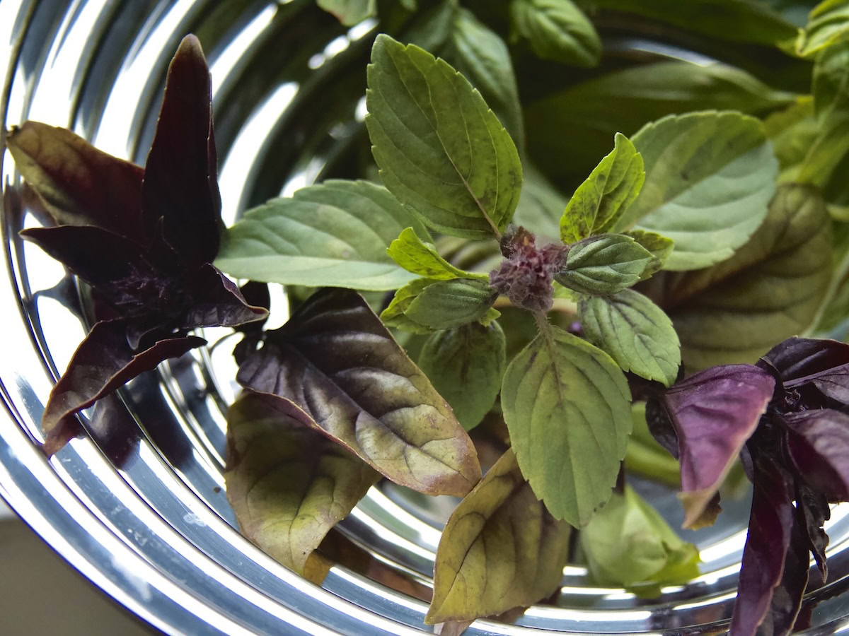 Basil assortment in silver bowl
