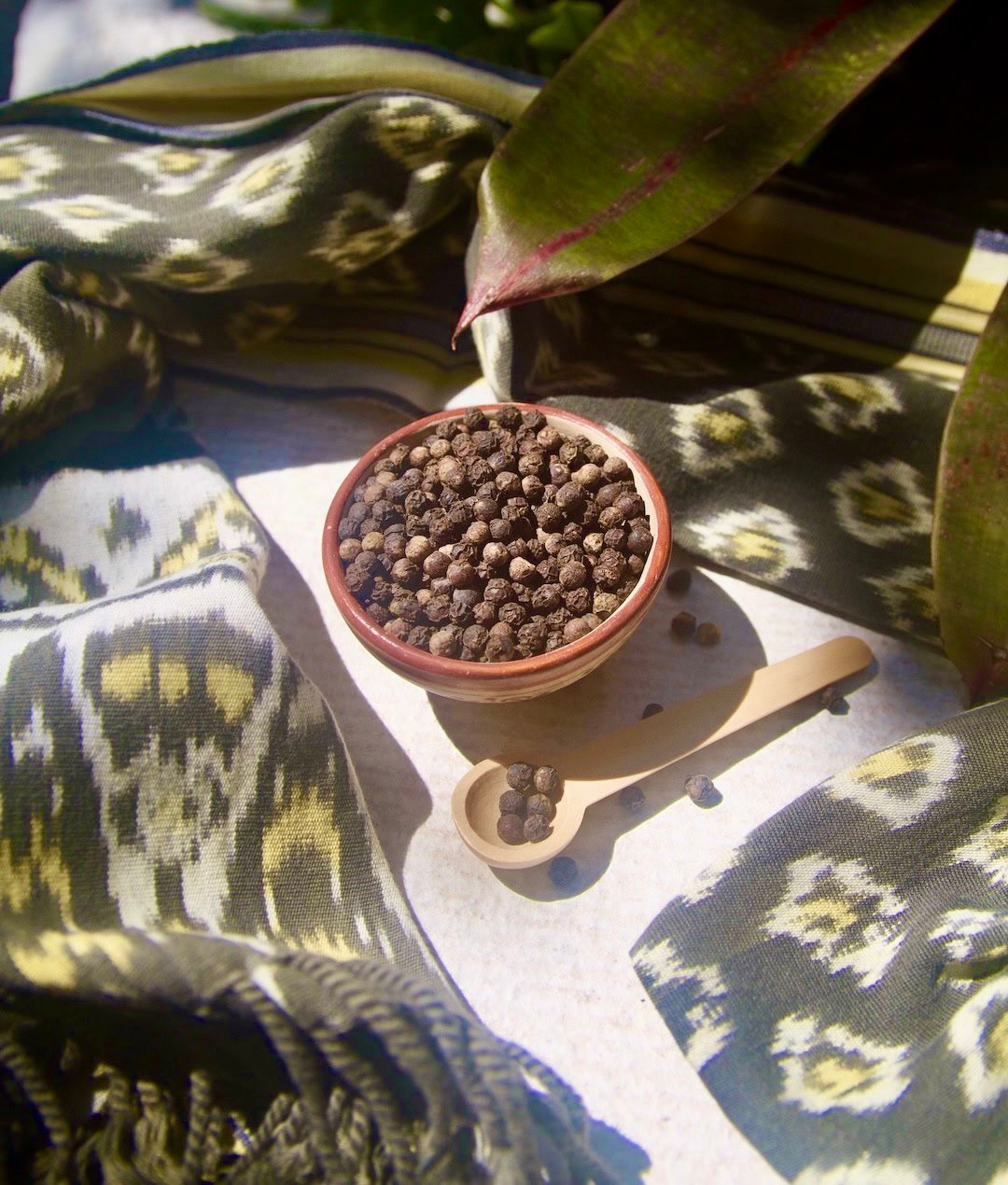 Black pepper with leaf and fabric