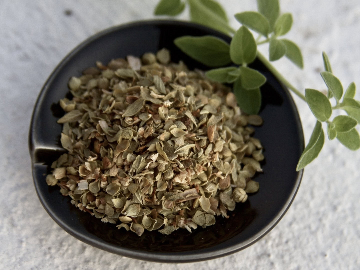 Dried and fresh oregano close-up