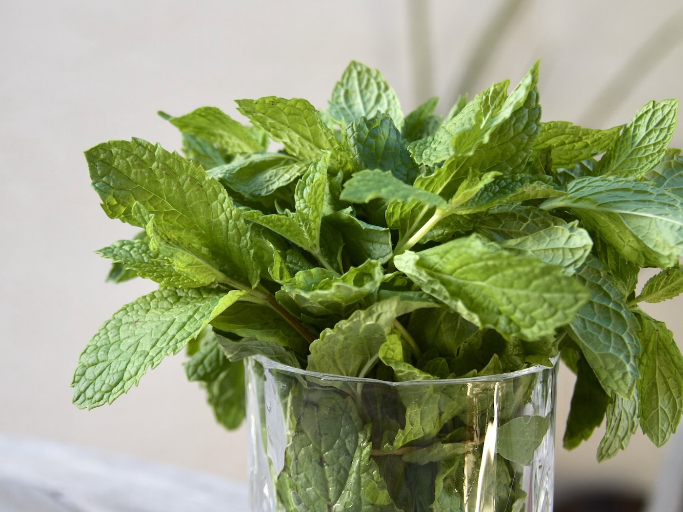 Spearmint in glass tumbler