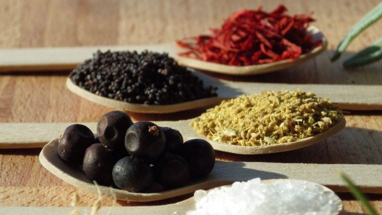 Various spices in spoons