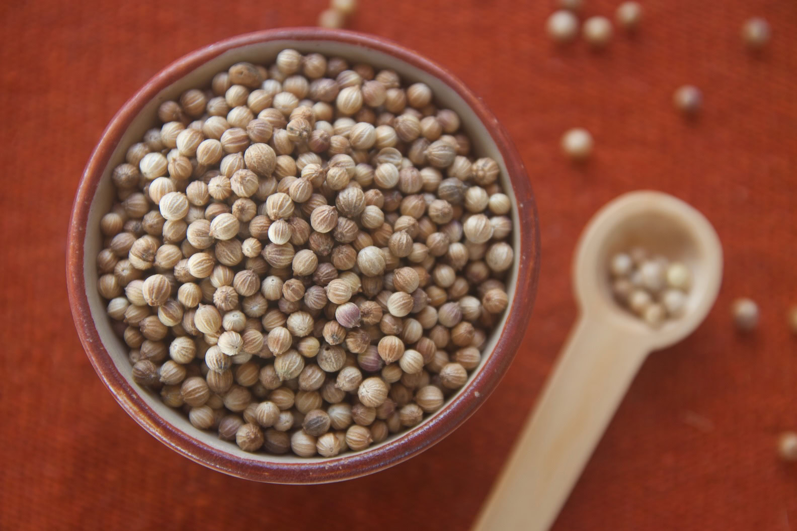 Whole coriander in red bowl