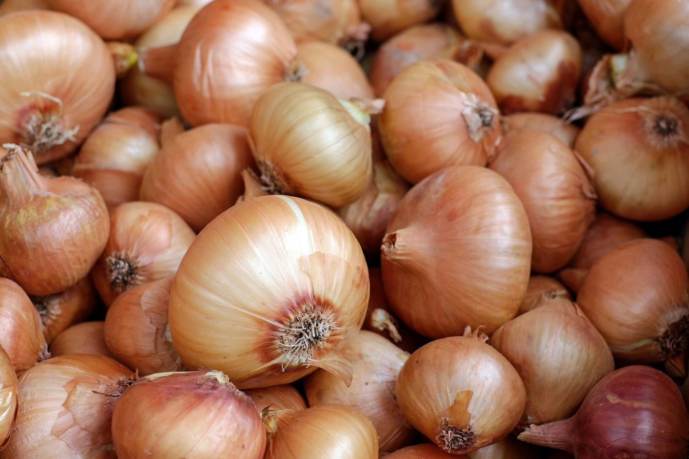Pile of sweet onions