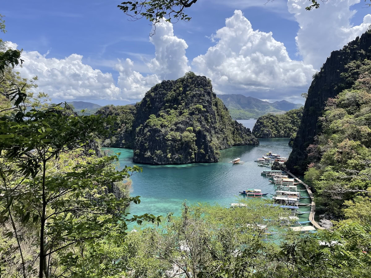 Coron, Philippines—an aerial view of an island with trees and water