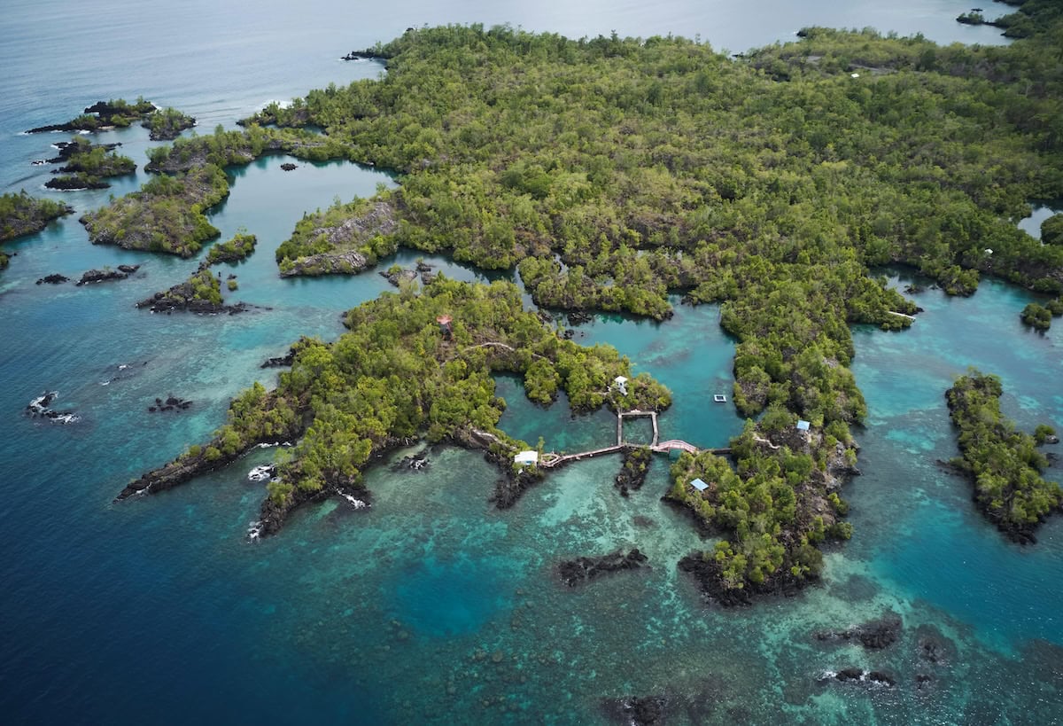 The Maluku Islands—an aerial view of an island with trees and water
