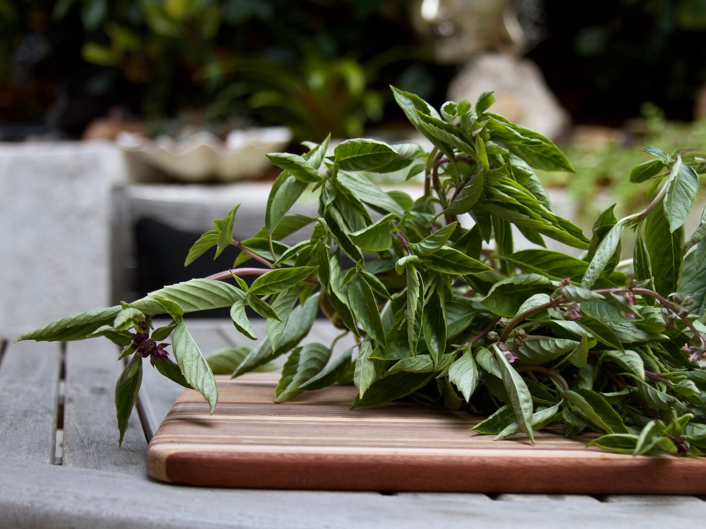 Bunch of Thai basil on cutting board
