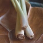 Close-up of the bases of 3 lemongrass stalks