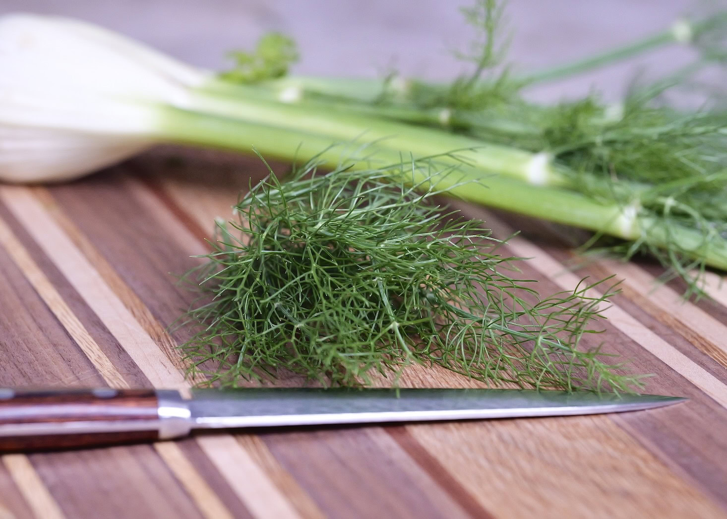 fennel-bulb-and-fronds-knife-cutting-board