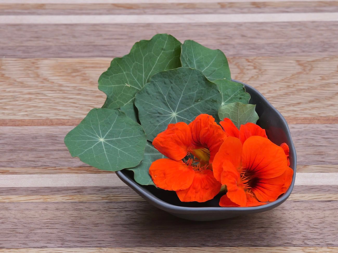 Nasturtium leaves and flowers in wabi sabi black bowl