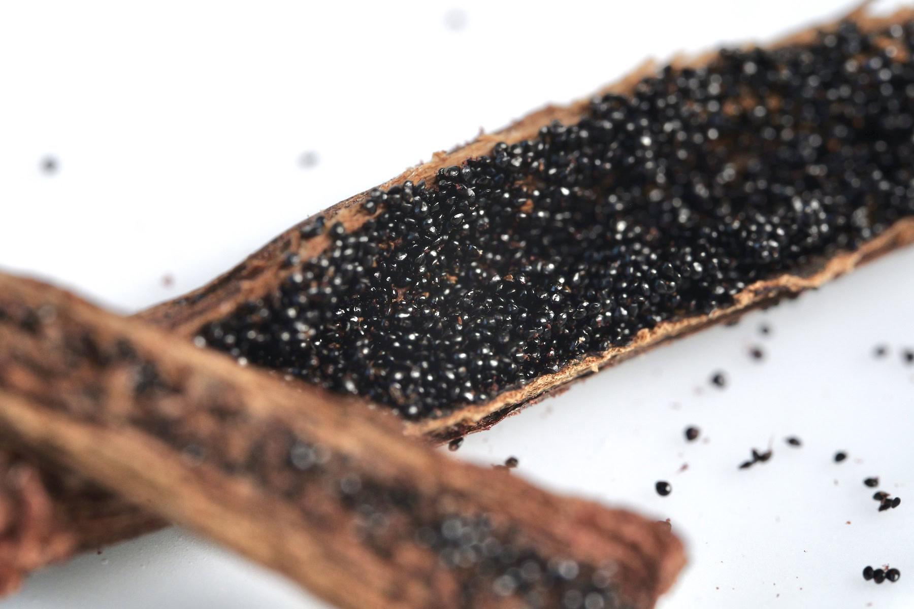 Close-up of a split vanilla pod, revealing thousands of tiny black seeds