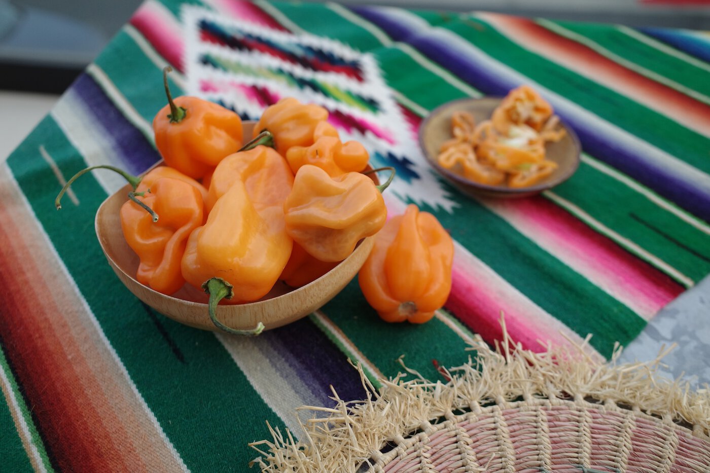 Fresh orange habanero peppers (Capsicum chinense) in a wooden bowl on a fringed straw mat, with a brightly colored Mexican serape blanket in the background
