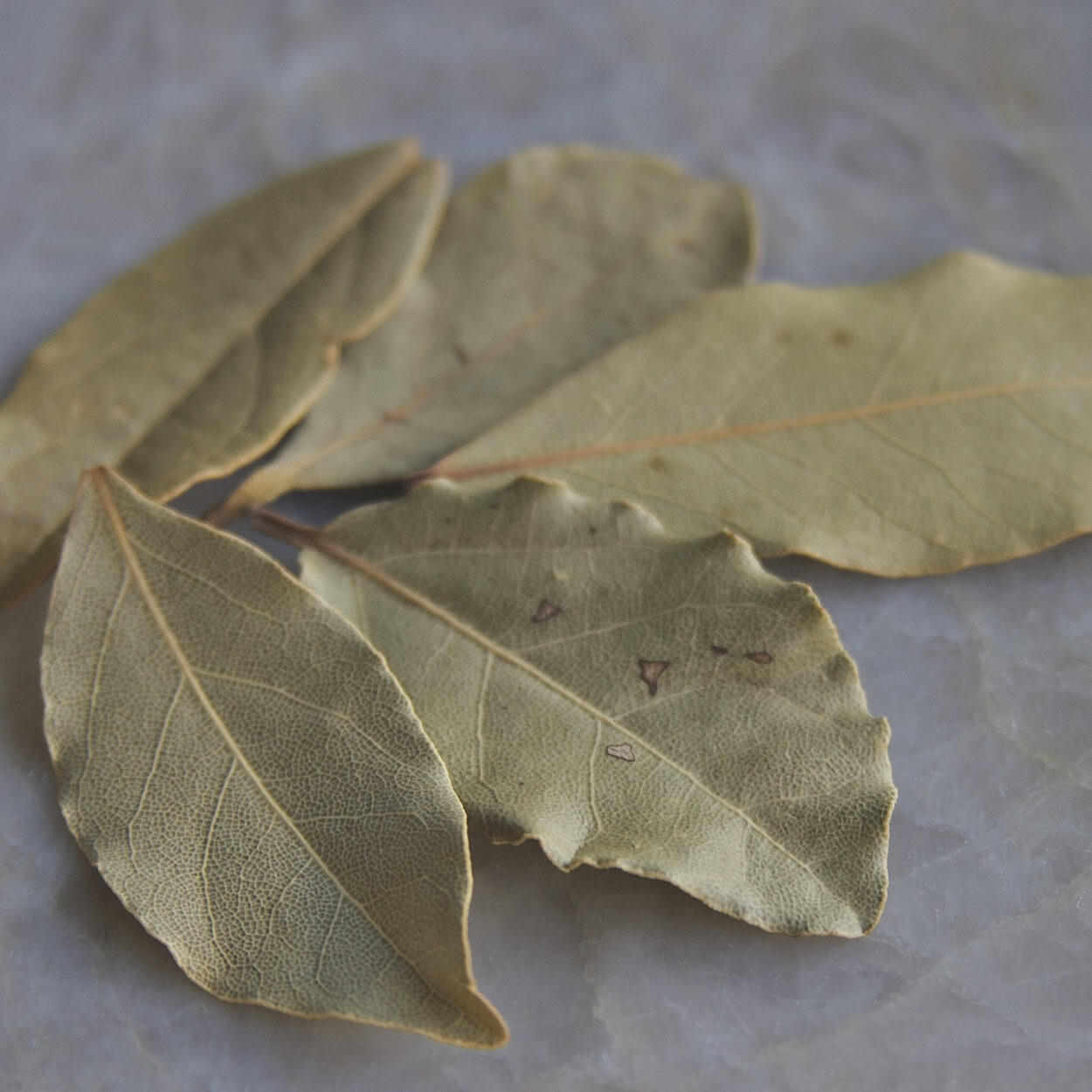 5 bay leaves on quartz countertop
