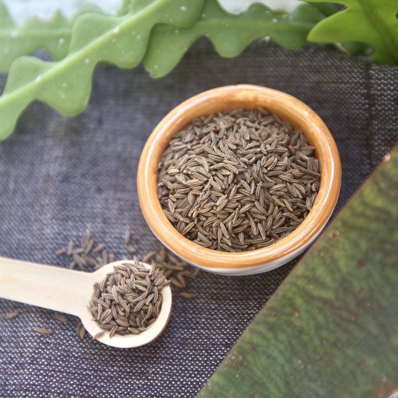 Caraway in bowl and spoon