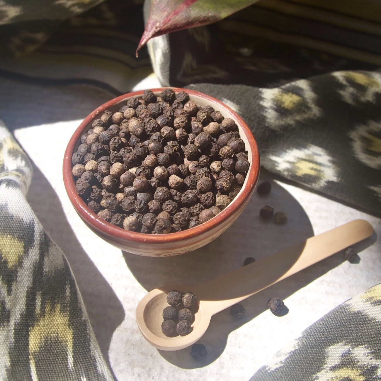 Black peppercorns surrounded by fabric Black peppercorns surrounded by fabric