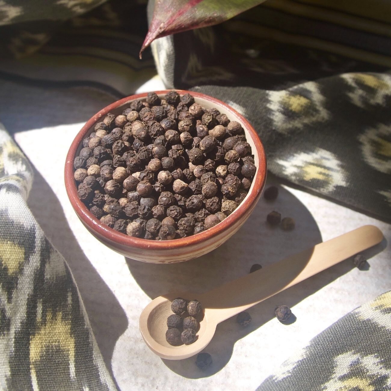 Black peppercorns surrounded by fabric Black peppercorns surrounded by fabric