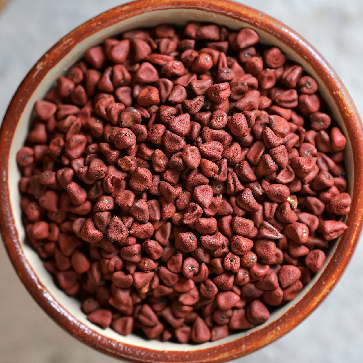 Bright annatto/achiote seeds in a red and white ceramic bowl