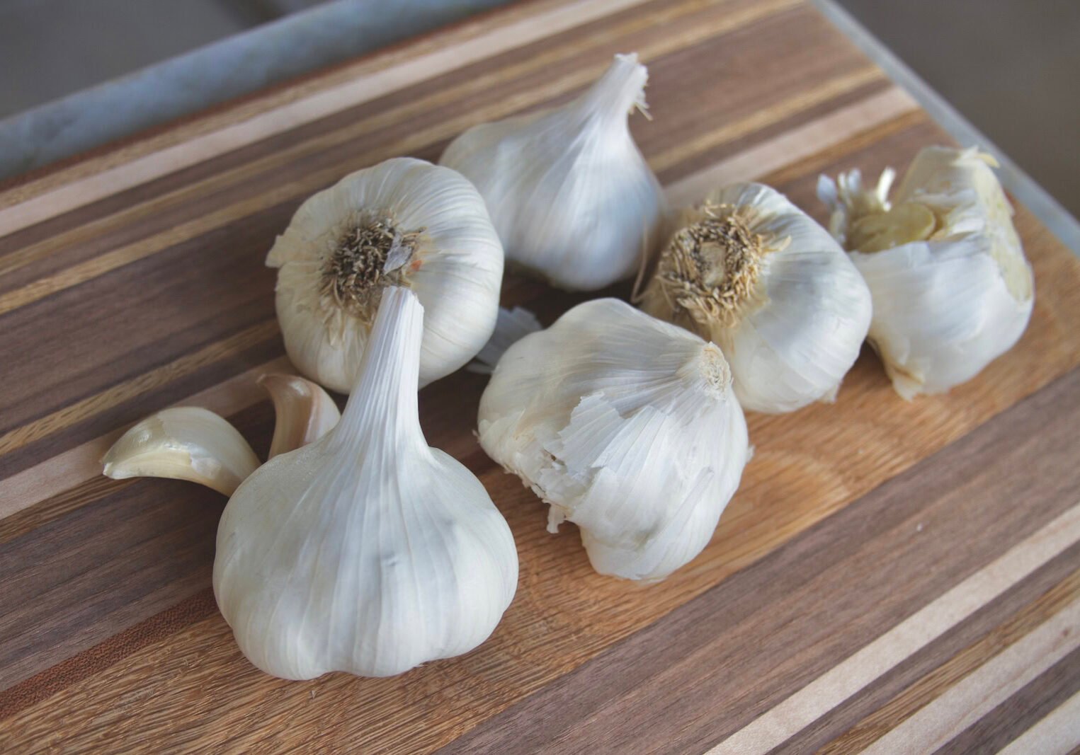 Garlic bulbs on a cutting board A bunch of garlic bulbs on a striped cutting board