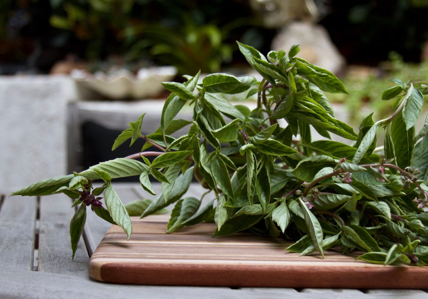 Bunch of Thai basil on cutting board