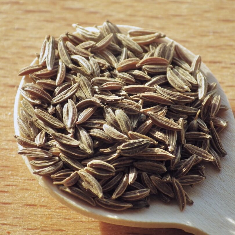 Caraway in spoon