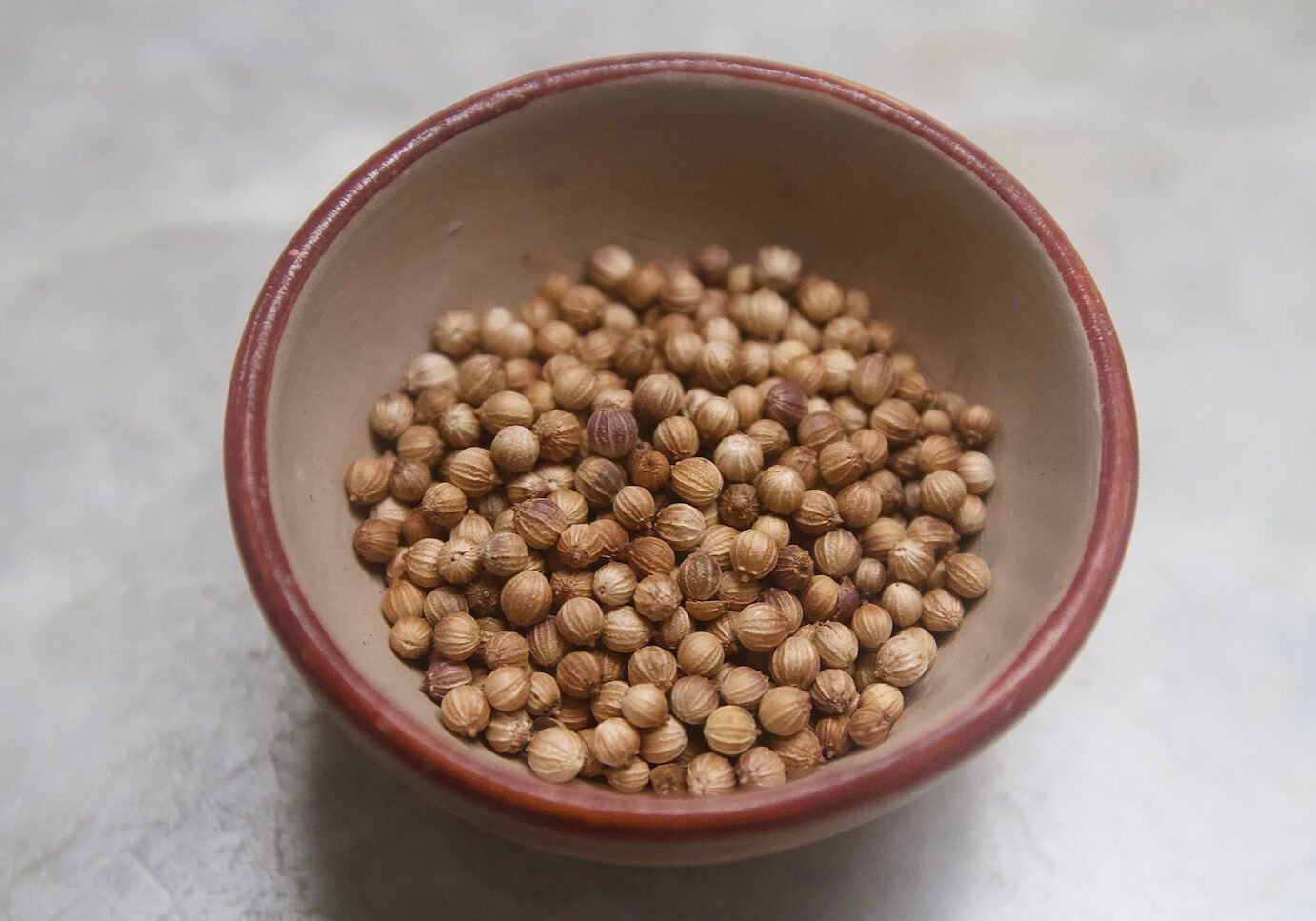 coriander-most-popular coriander-most-popular