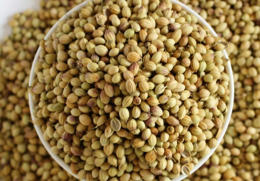 Coriander seed in white bowl