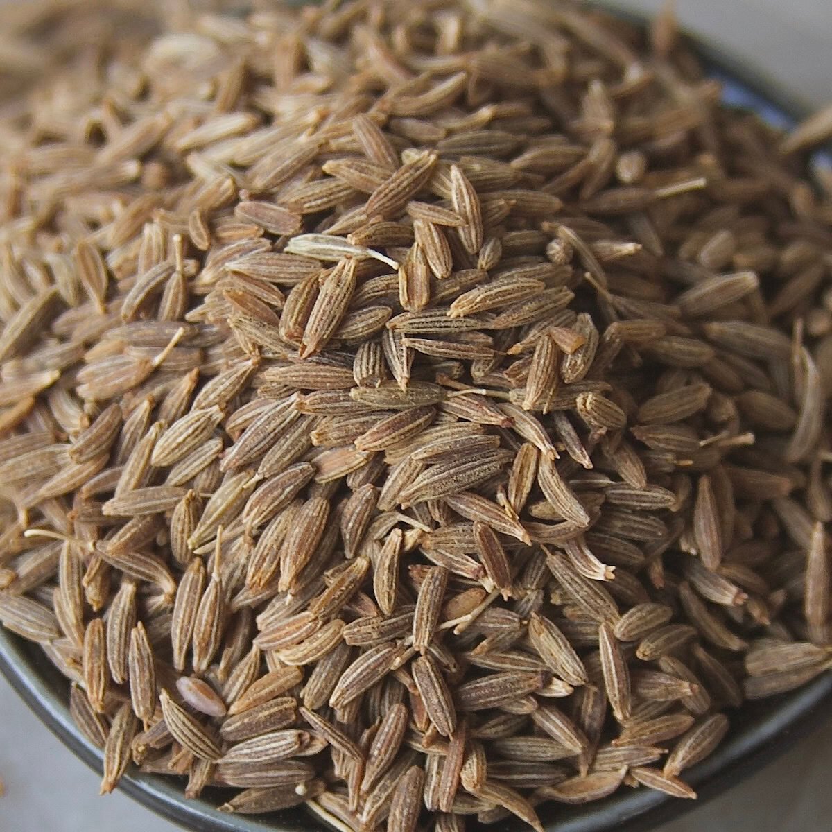 Cumin close-up, you can see the ridges and little stems