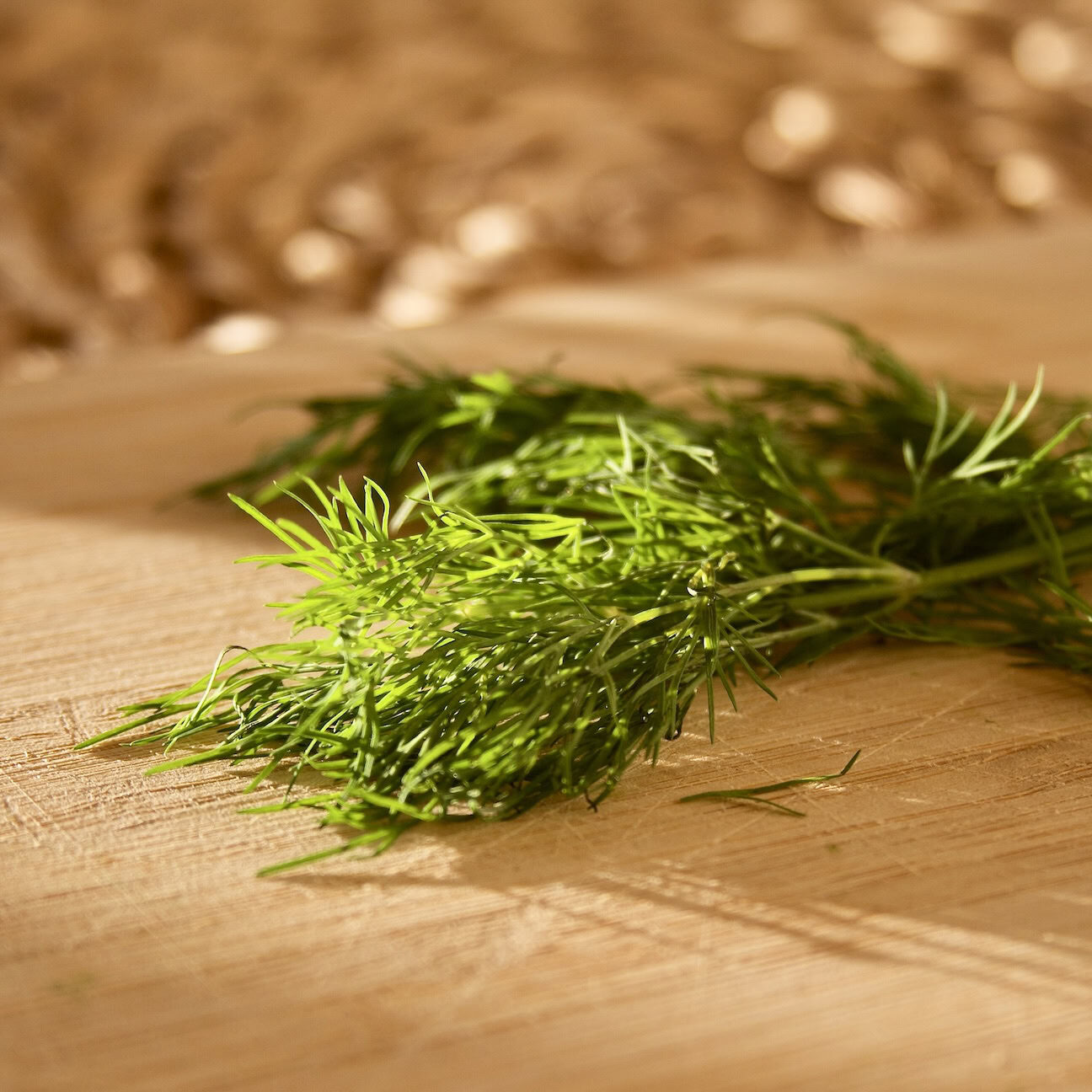 Dill fronds in sunlight