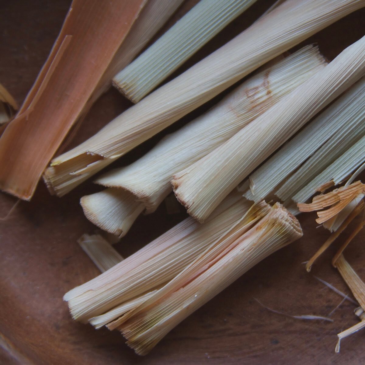 Close-up of died lemongrass stalk segments