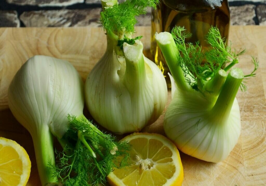 Fennel bulbs