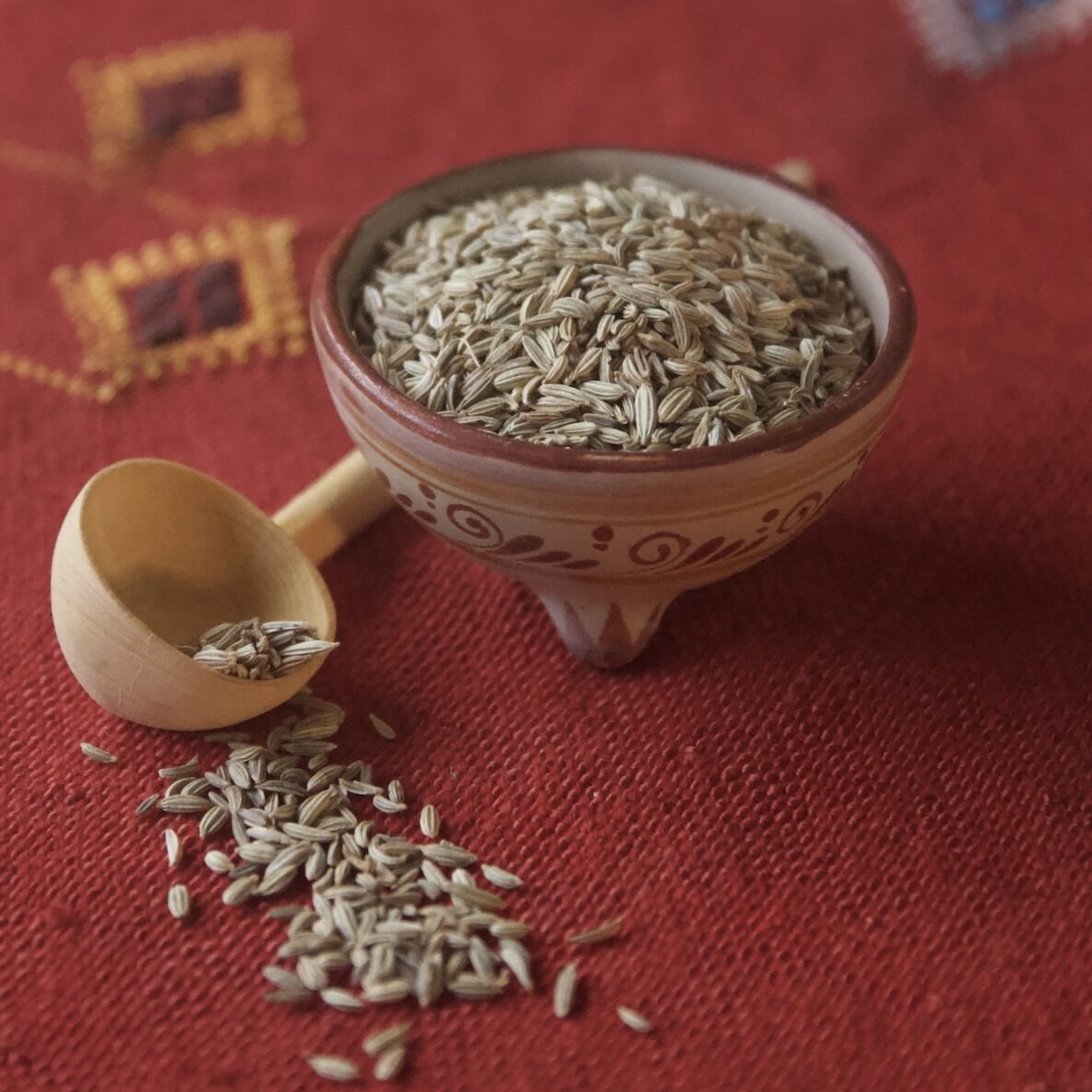 Fennel seed in bowl