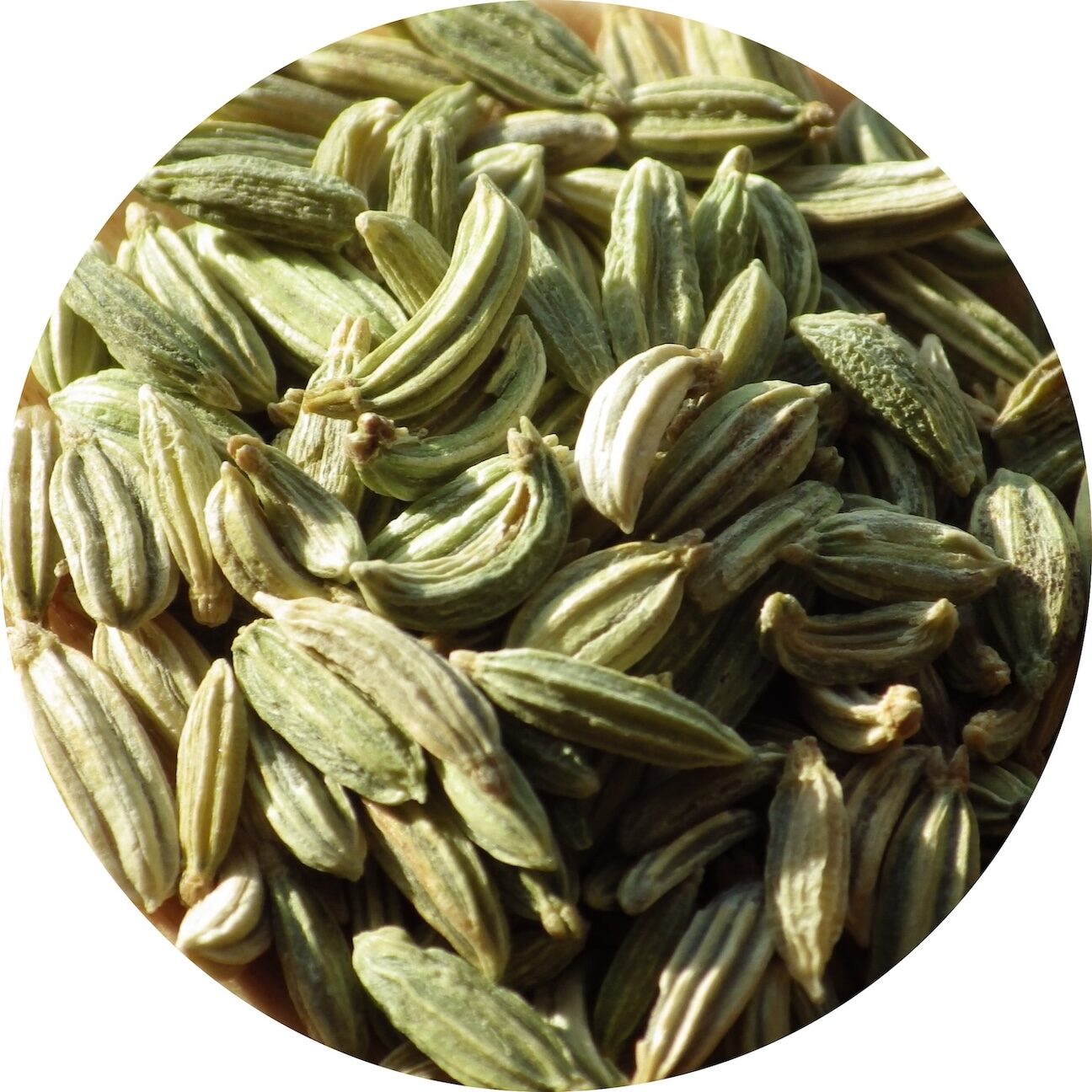 Fennel seed profile