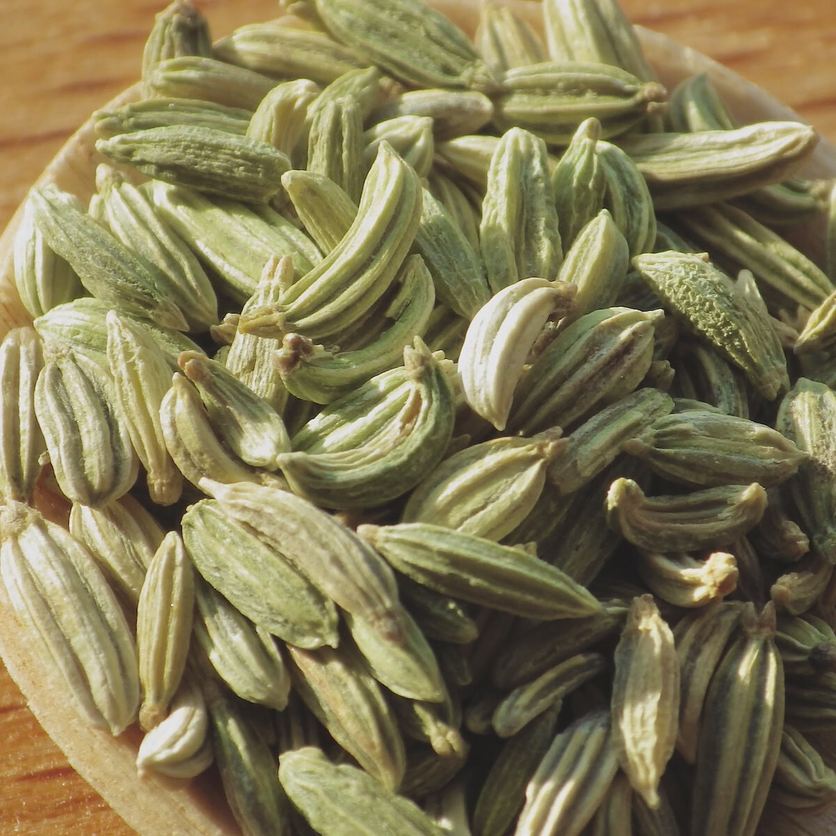 Fennel seed close-up in spoon