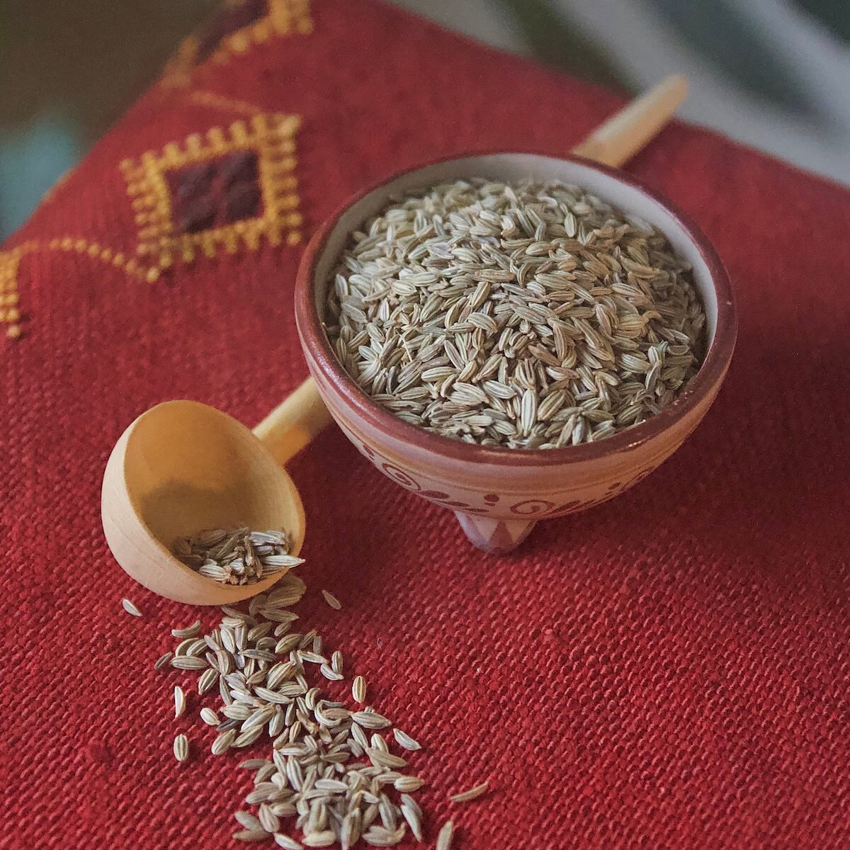 Fennel seeds in a bowl and a spoon on a red patterned fabric.
