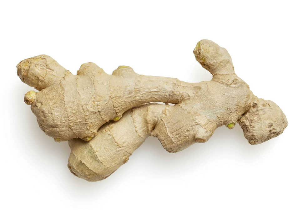 Fresh ginger rhizome showing knobby structure and tough outer skin
