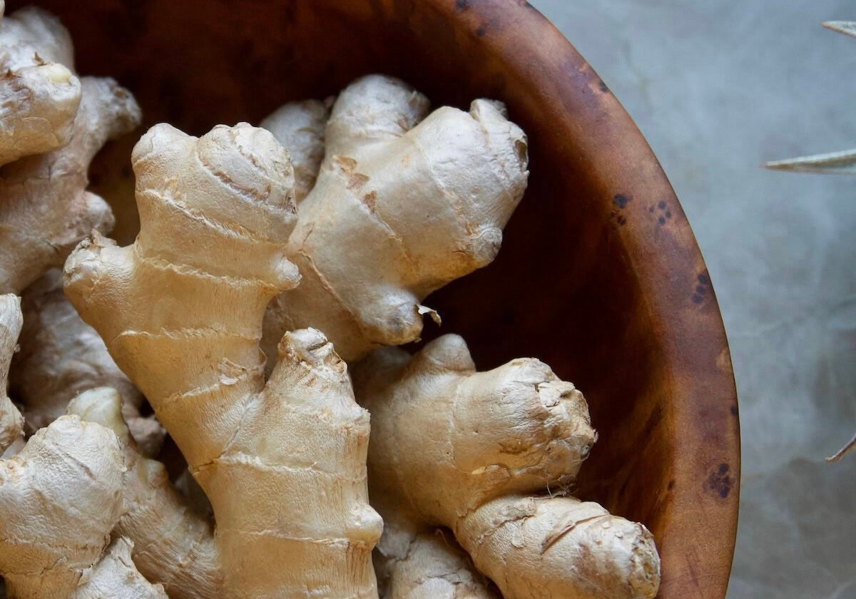 Fresh ginger rhizomes in wooden bowl Fresh ginger rhizomes in wooden bowl on quartz countertop