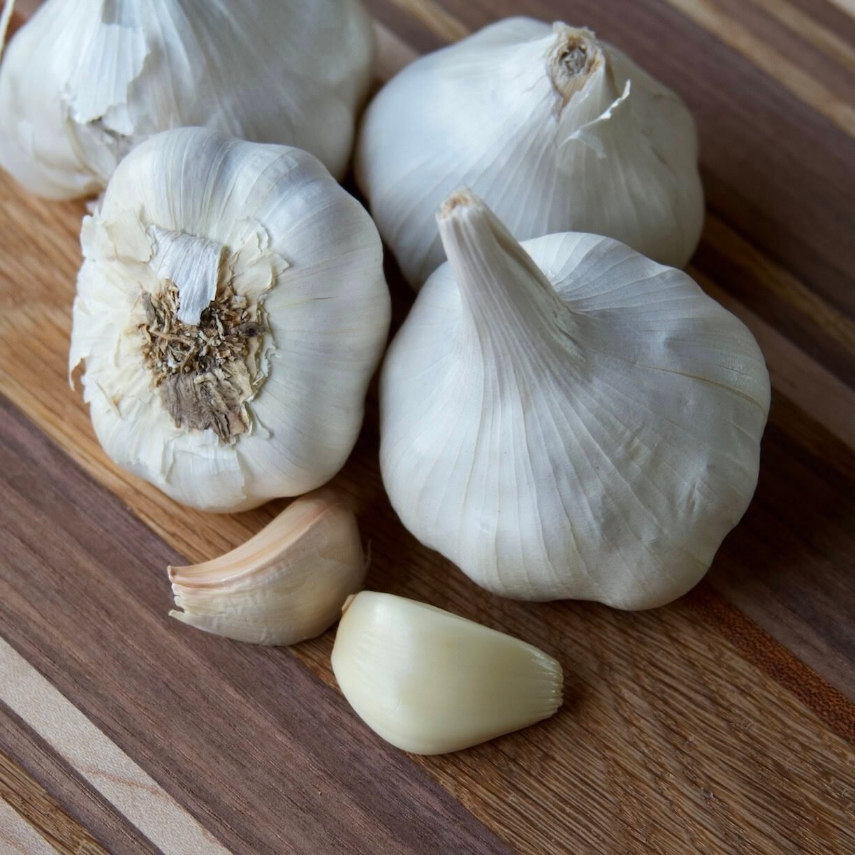 Garlic bulbs and cloves