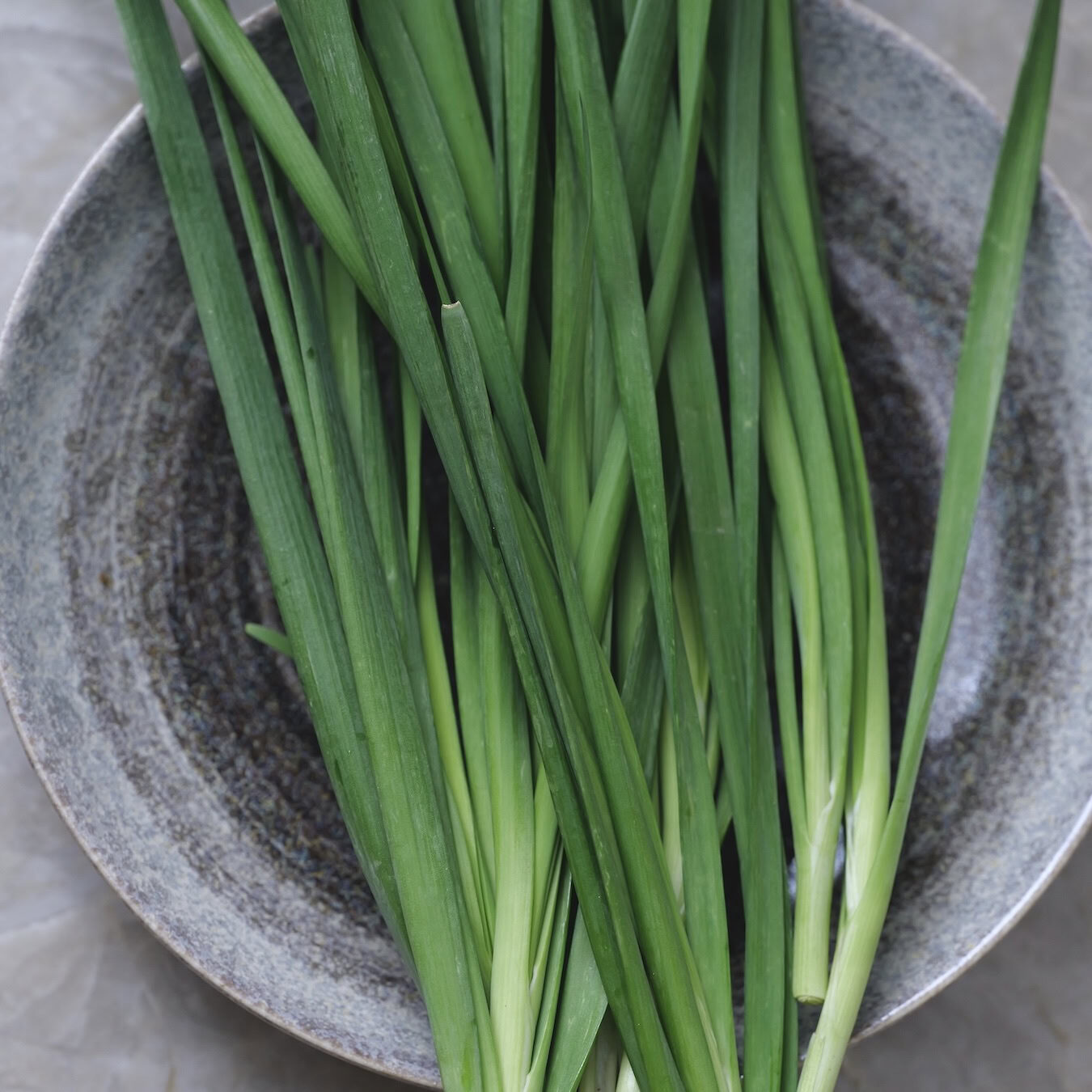 garlic-chives-on-circle-bowl