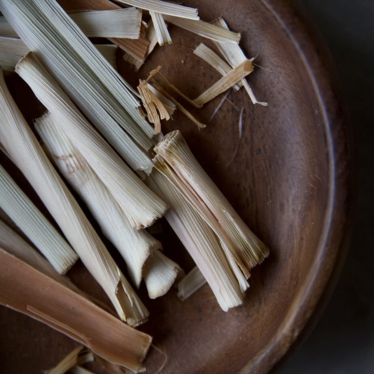 Lemongrass close-up