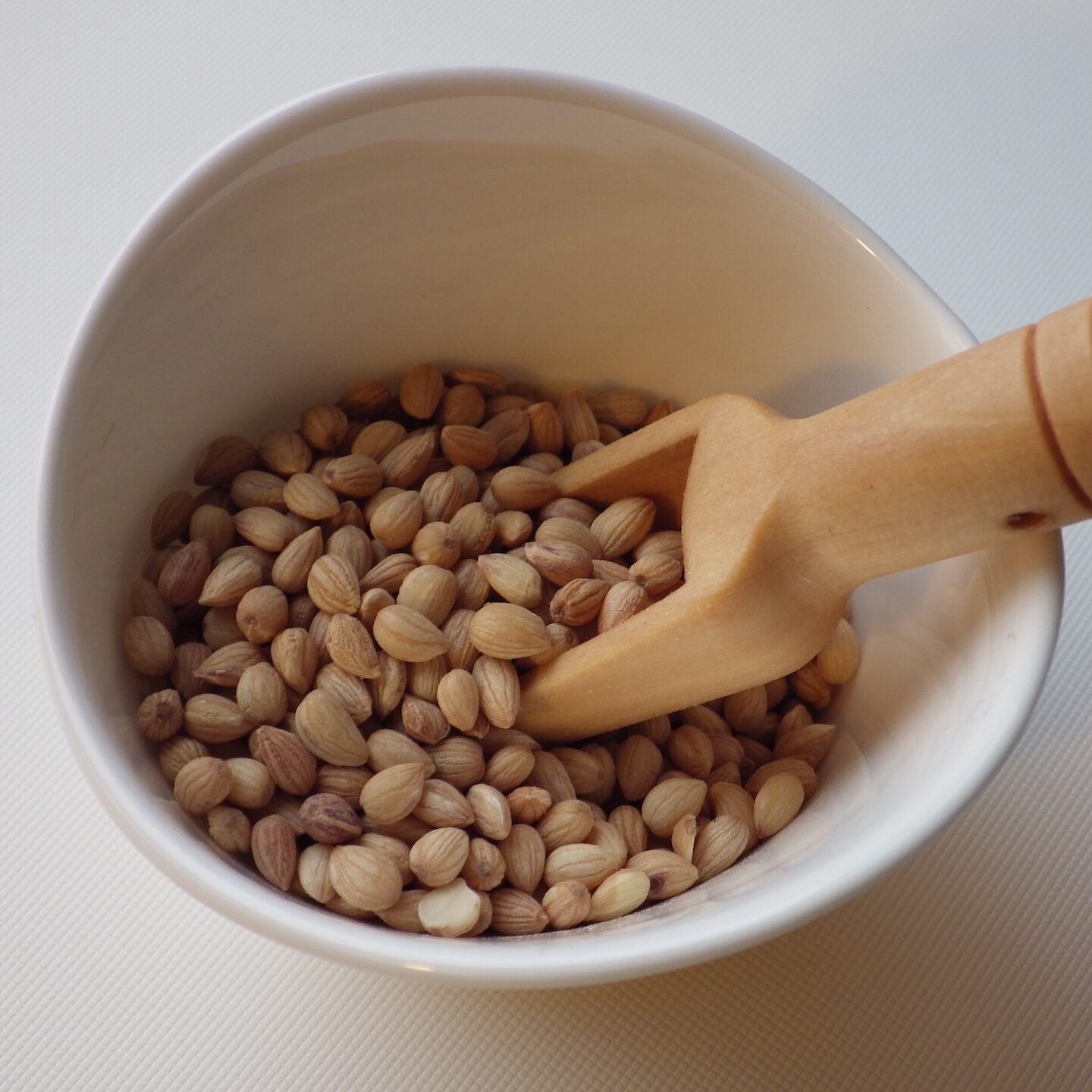 Mahlab in white bowl