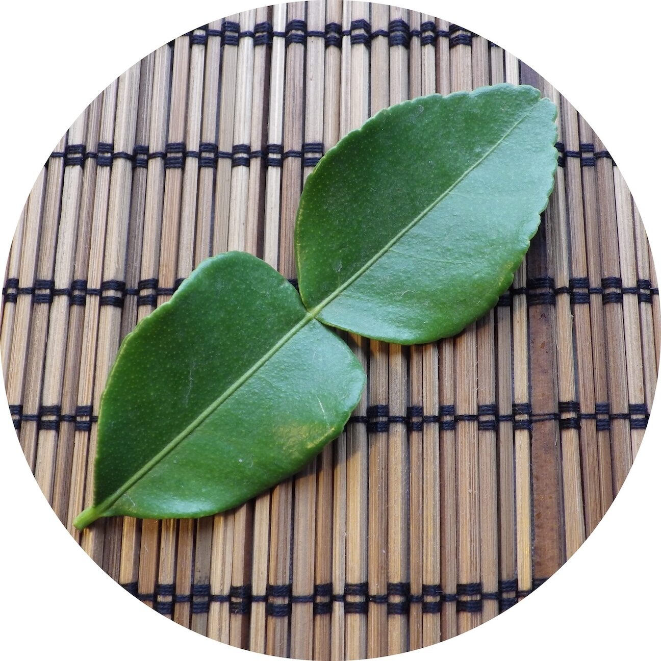 Makrut lime leaf