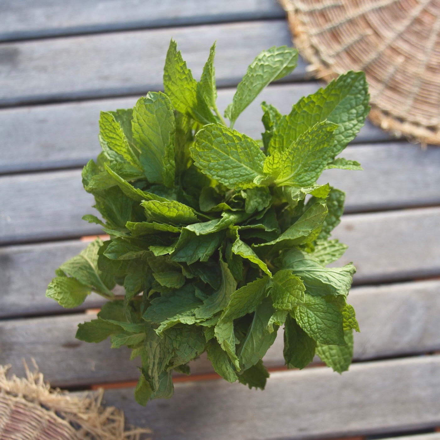Mint bunch on wooden table